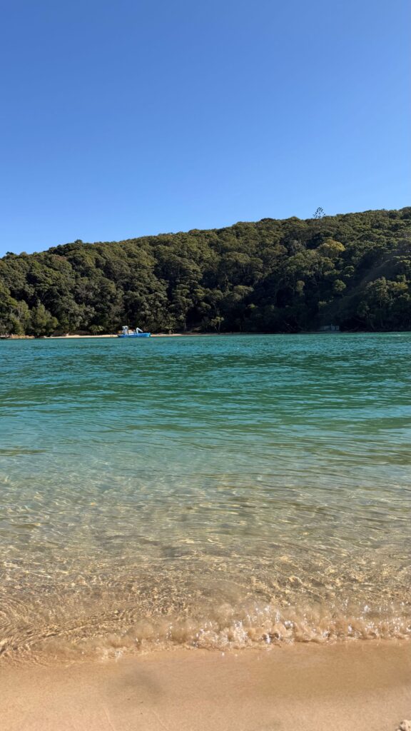 Turquoise water and a sandy beach with a tree-covered hill behind.